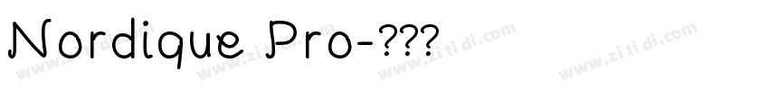 Nordique Pro字体转换